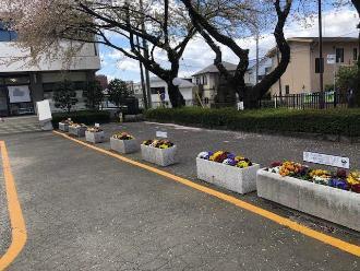 川越市やまぶき会館の花壇の写真