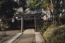 写真：三芳野神社鳥居