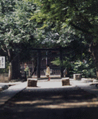 写真：三芳野神社参道