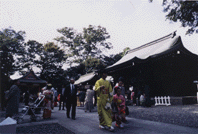 写真：氷川神社境内