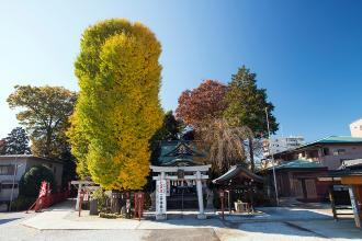 写真：川越八幡宮1