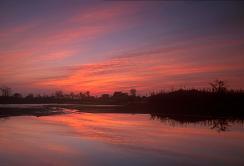 写真：伊佐沼の夕景