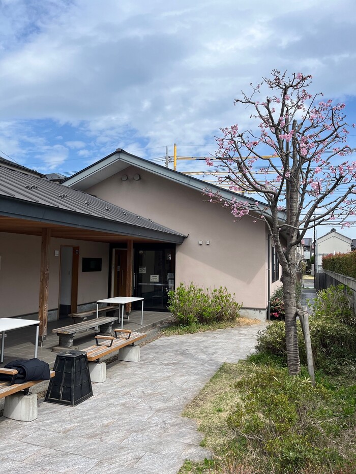 写真:室外
