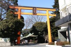 写真：氷川神社の大鳥居
