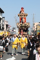 写真：猩猩山車曳き2