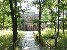 写真:相原求一朗美術館