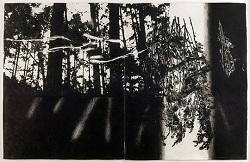 写真:中林忠良《転位'11-光-I》