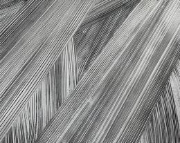 写真:奥村拓郎の作品