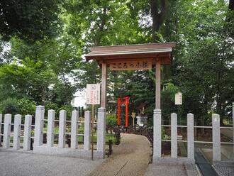 写真：川越八幡宮の「こころの小径」1