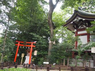 写真：川越八幡宮の「こころの小径」2