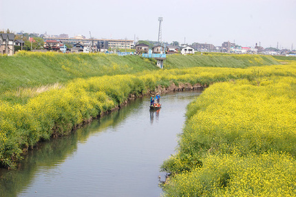 写真：川越百景2