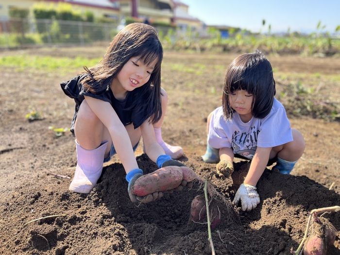 写真：畑の様子1