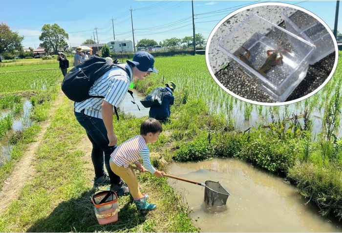 写真：生き物を探してみよう