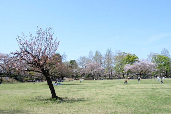 写真：御伊勢塚公園