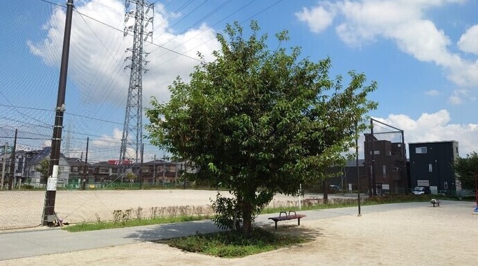 写真：旭町一丁目公園