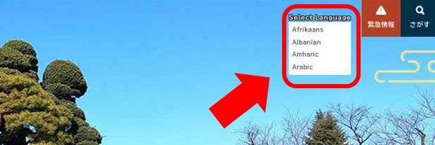 select language設定画面画像