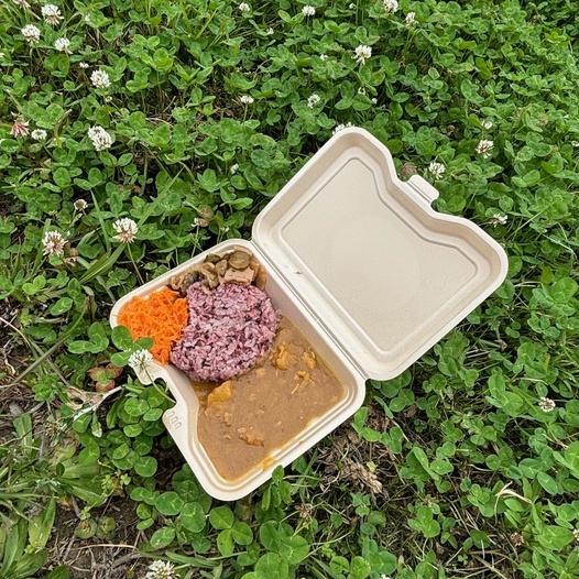写真：小江戸南古谷農園のお弁当
