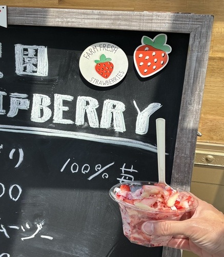 写真：小江戸BERRYのけずり苺