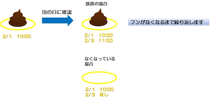イエローチョーク作戦の説明です