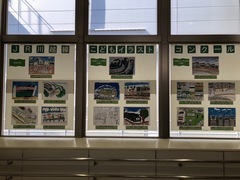 写真：令和4年度JR川越線こどもイラストコンクール展示風景