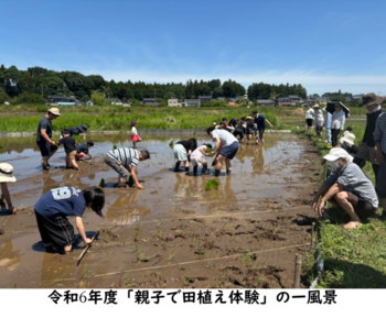 令和6年度の講座「親子で田植え体験」の田植えをしている風景