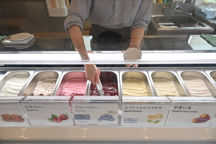 写真：ジェラートのショーケース