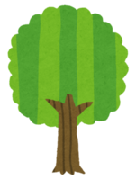 樹木のイラスト