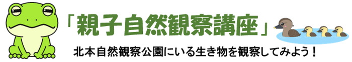 バナー画像：「親子自然観察講座」北本自然観察公園にいる生き物を観察してみよう！