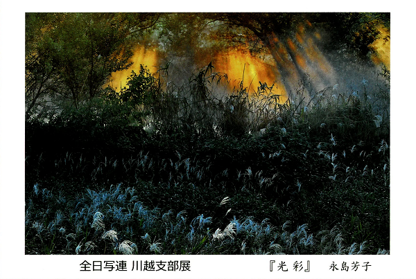 展覧会DMはがき