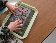 写真：和紙作り体験（乾かす前の和紙に、花びら等を載せて飾り付けしている様子）