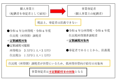 例1.令和6年度住民税所得割課税世帯に属している事業専従者の場合のイメージ図。詳細は解説文章を参照してください。