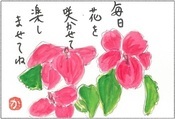 絵手紙の画像