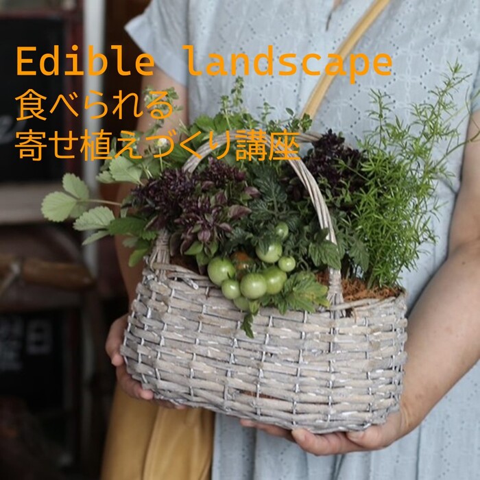 写真：食べられる寄せ植えづくり講座のイメージ