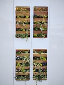 緑化パネルの写真2