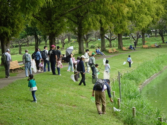 写真:令和7年の観察会の様子