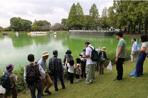 写真：川越水上公園での観察会の様子