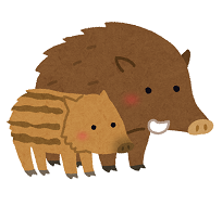 親子のイノシシのイラスト