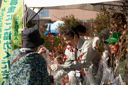 苗木を配布する写真