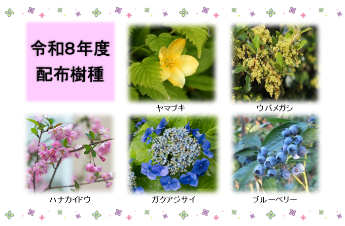 配布樹種の写真