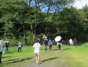 写真:里山散策(散策を行う参加者の様子)