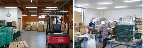 左：有機野菜加工施設の内部の写真、右：加工施設内でじゃがいもの小分け作業が行われている様子の写真
