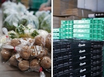 左：袋詰めされた有機野菜の写真、右：加工作業で使用されているコンテナの写真