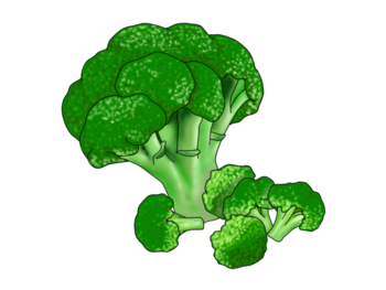 ブロッコリーのイラスト