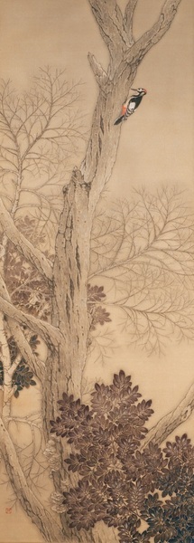 写真：粉雪ふる朝