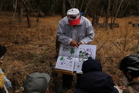 写真:植物を観察している様子