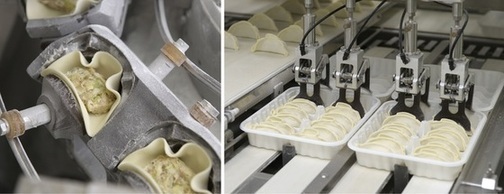 工場の自動製造機で餃子が製造される様子の写真