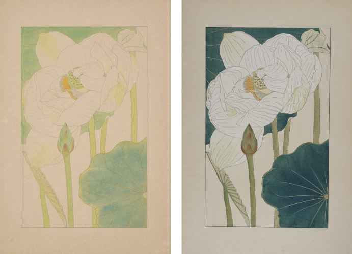 画像：非水百花譜「はす」