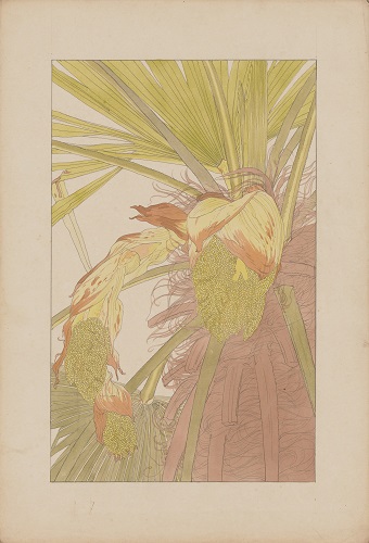 画像：作品