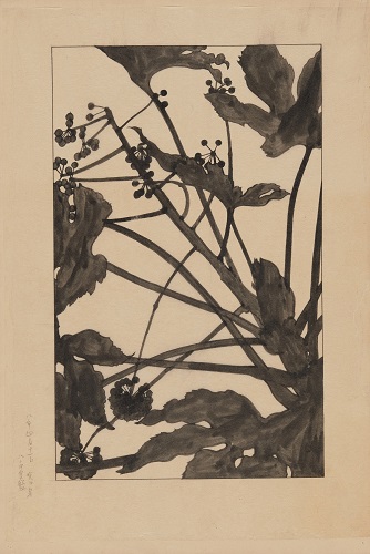 画像：作品