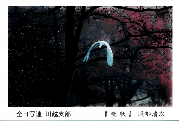 画像：DMはがき